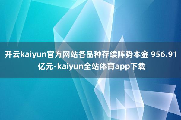 开云kaiyun官方网站各品种存续阵势本金 956.91 亿元-kaiyun全站体育app下载